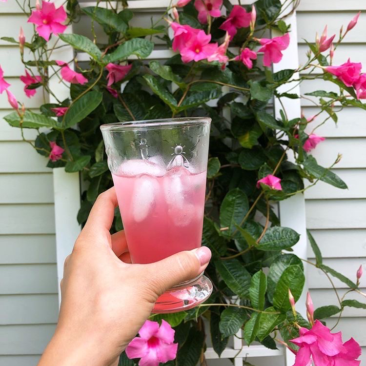 Iced Tea Bee Glass