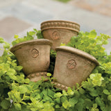 Wakefield Handmade Mini Pots in Brown-Set of 6