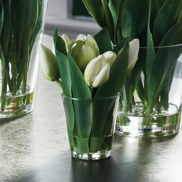 Dutch Tulip Permanent Arrangement in Vase (7.5"tall)
